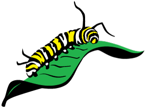 Monarch Larva Monitoring Project (MLMP) Logo
